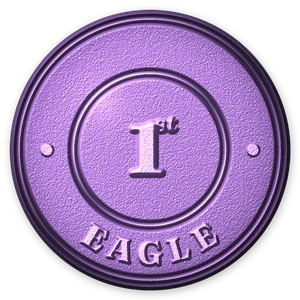 Eagle Eye badge